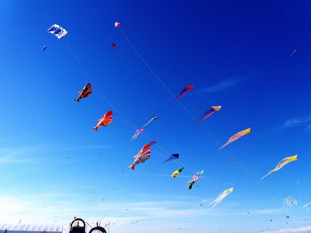 Kite Parade