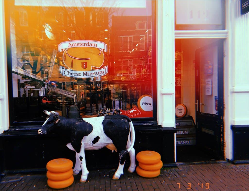 Just another lovely day at the Amsterdam Cheese Museum.