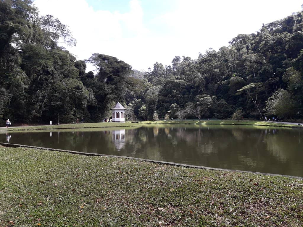 Tranquil Water Features