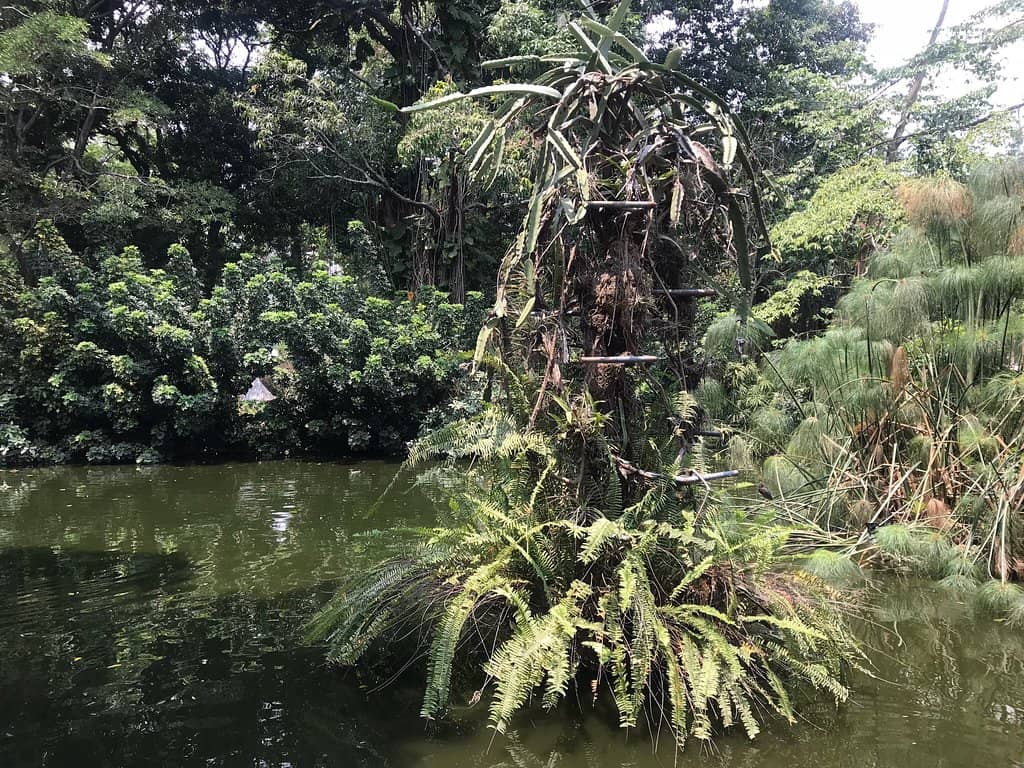 Diverse Plant Zones