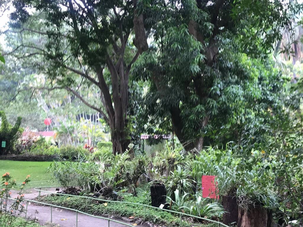 Wildlife Encounters