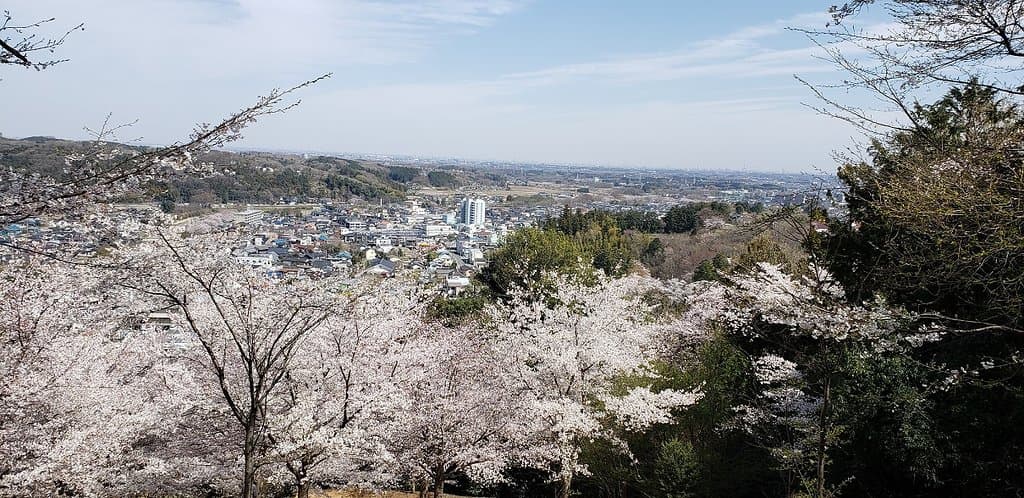 さくらの山公園