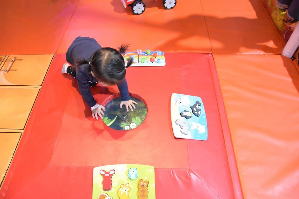 Action Park & Role Play Zones
