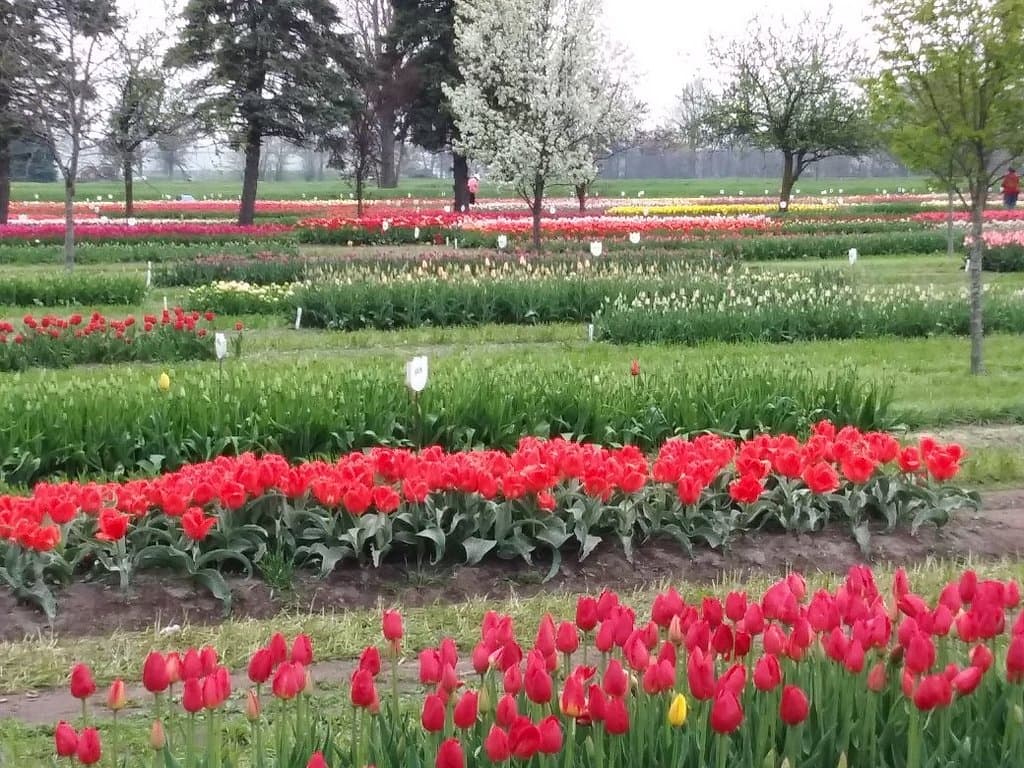 Van Raalte Farm Park