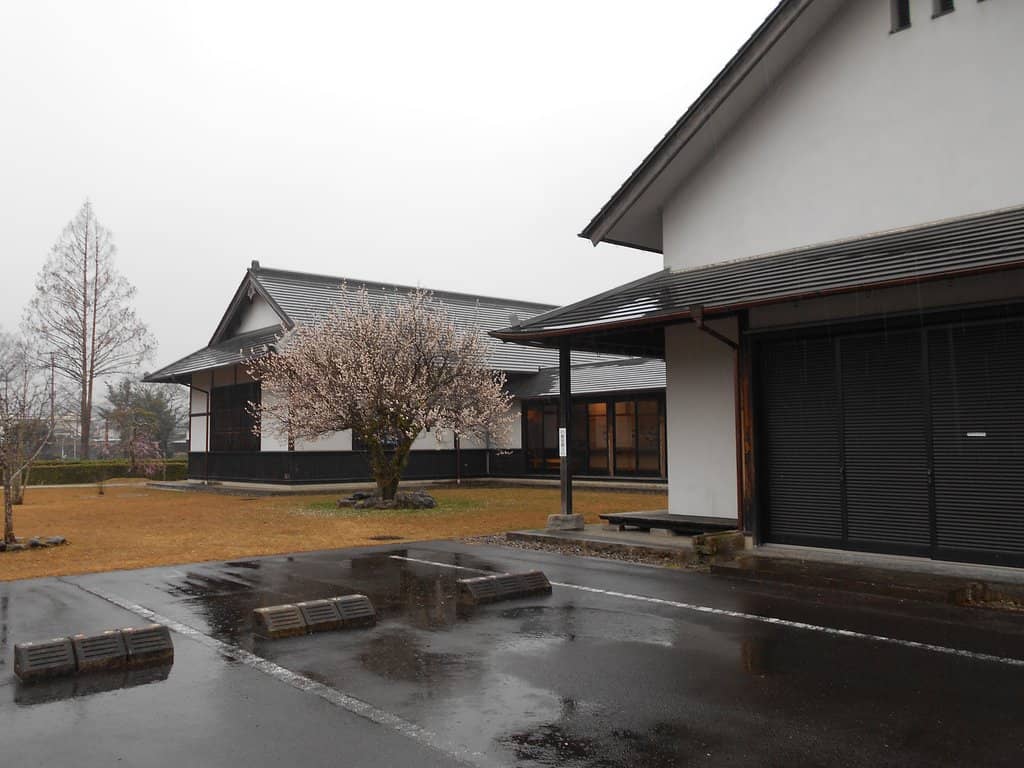 Interactive Exhibits