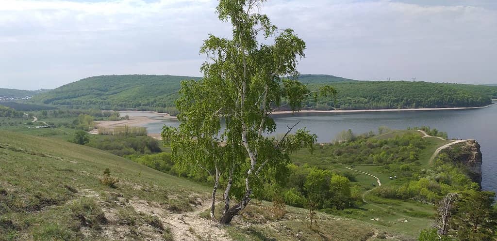 Volga River Panorama