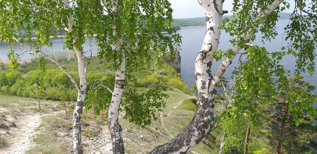 Winter 'Baikal' Ice