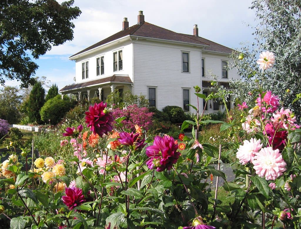 The gardens in full bloom
