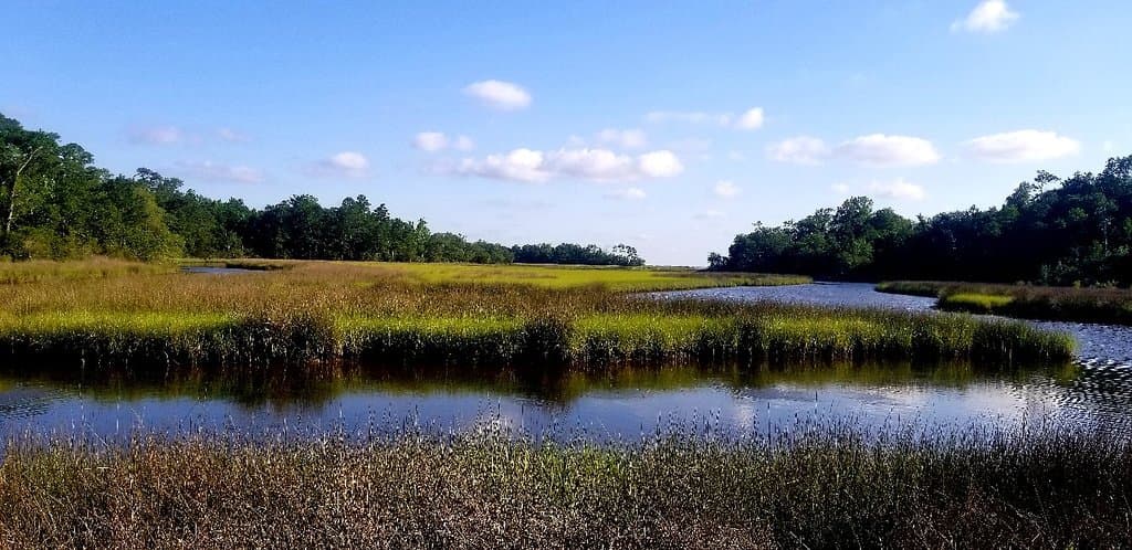 Gulf Islands National Seashore Davis Bayou
