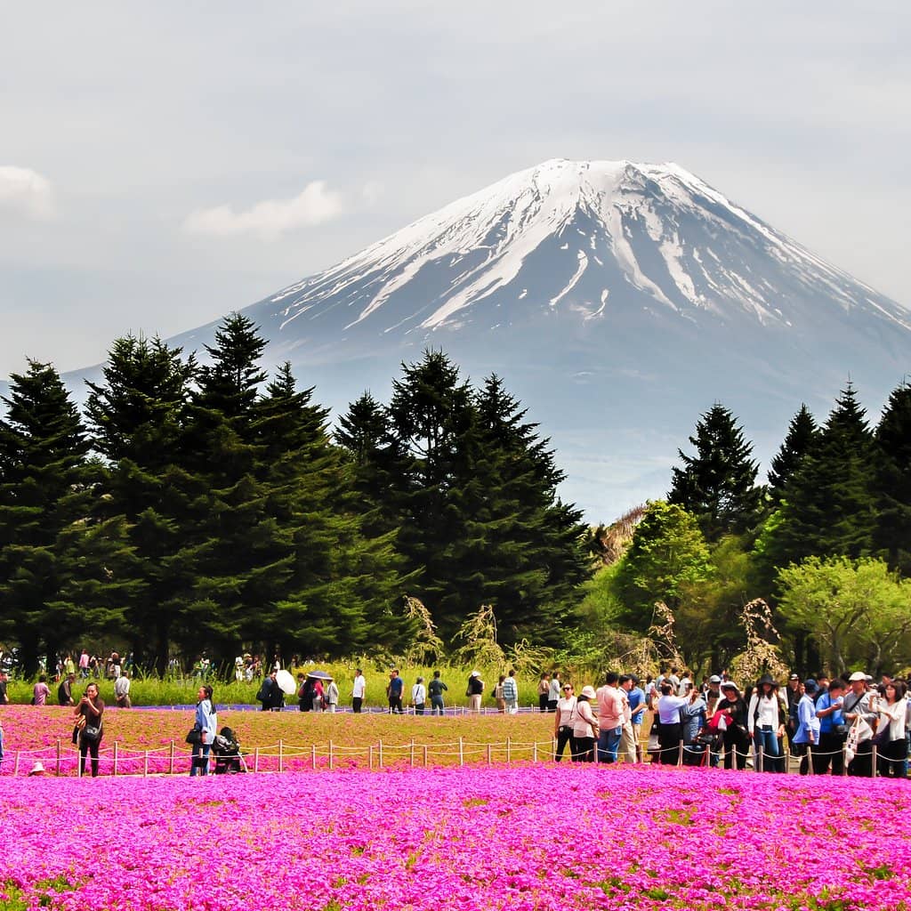 Panoramic Observation Deck
