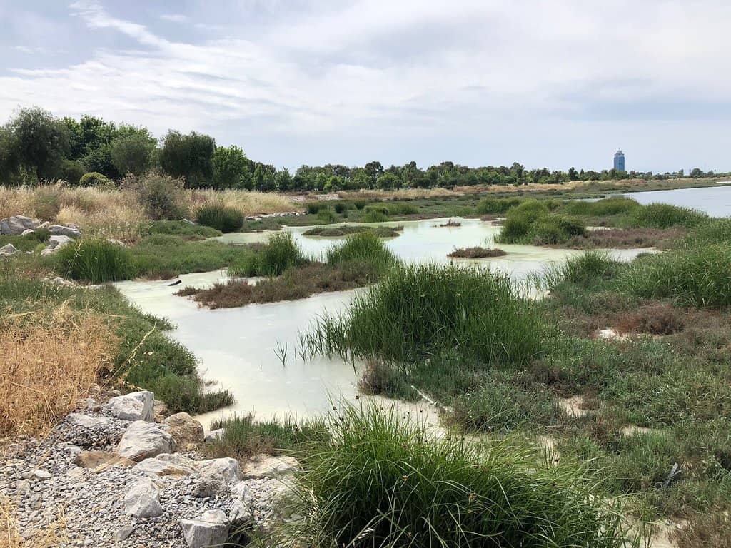Çakalburnu Lagoon