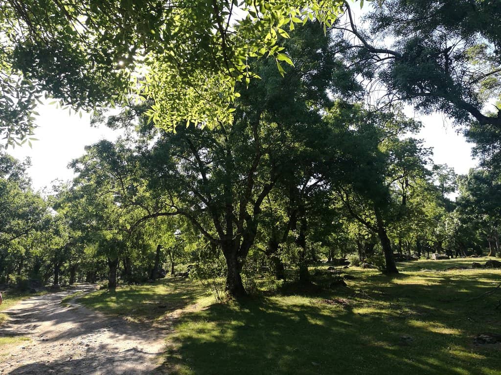 Vertical photo