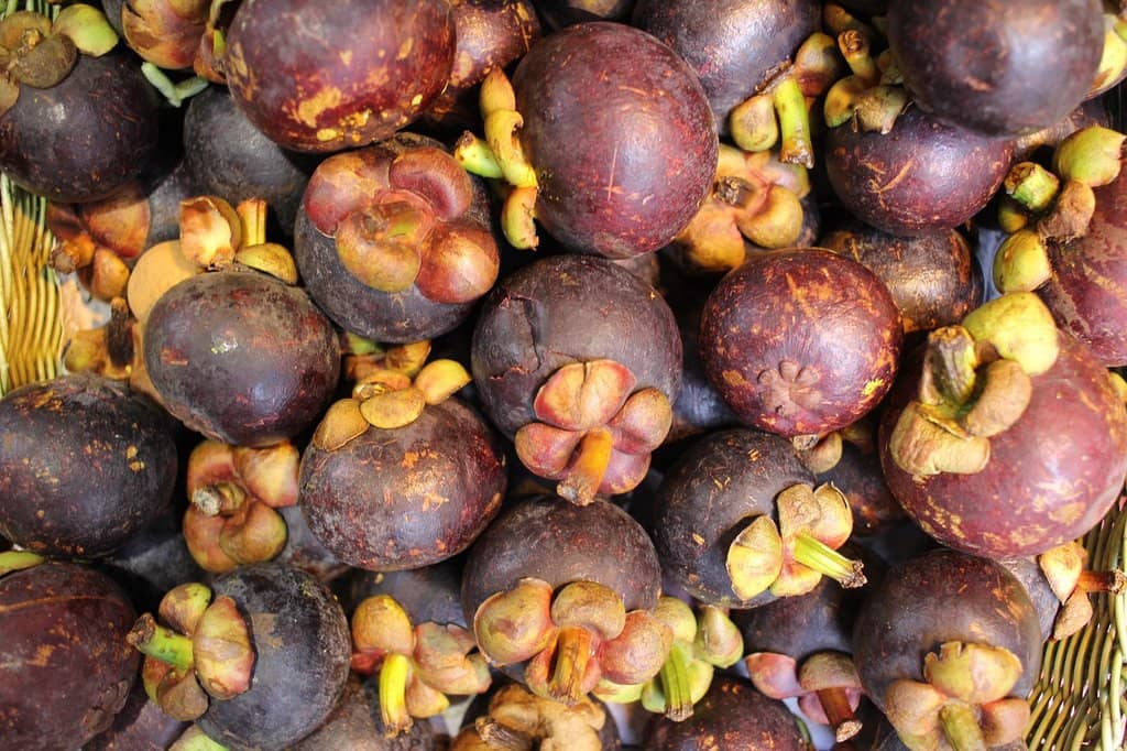 Wan Chai Harbourfront