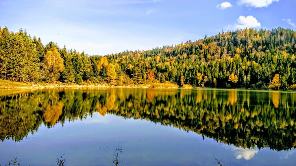Kakhisi lake Borjomi - Chobiskhevi - Dabadzveli (ααααα«αααα)