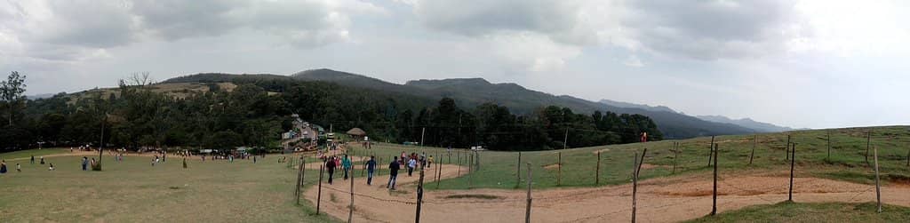 Rolling Green Meadows