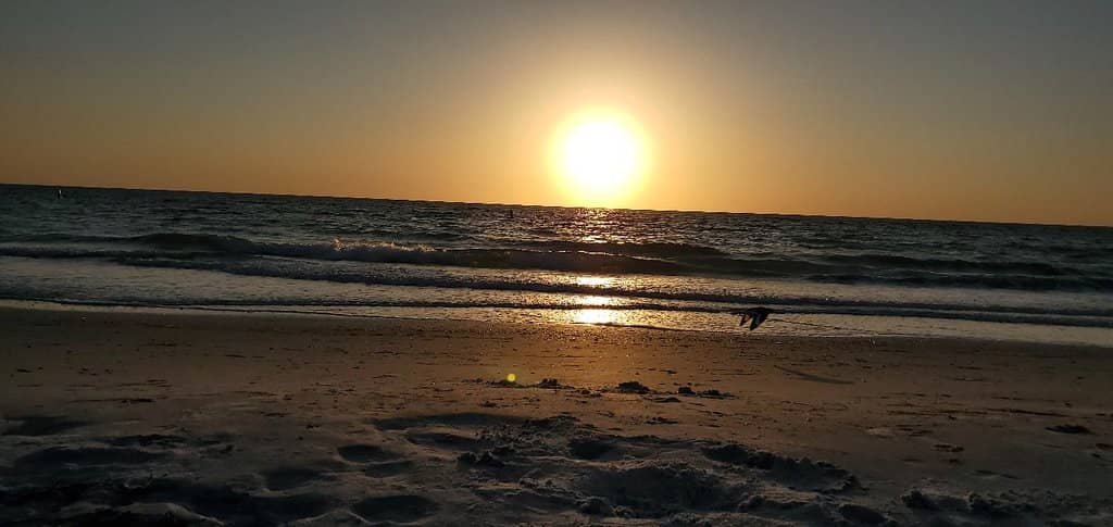 Kayaking Through Mangroves
