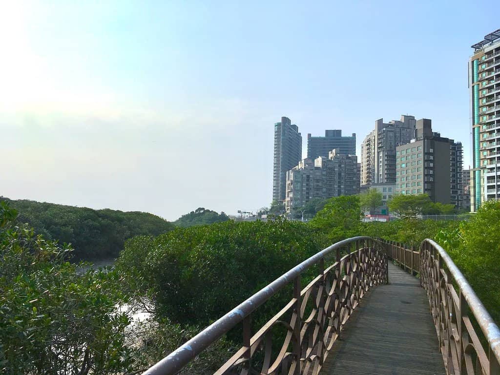 Ecological Scenery