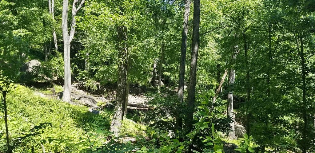 Trailside Museums & Zoo