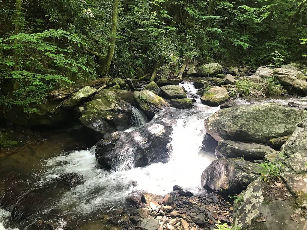Chattahoochee National Forest