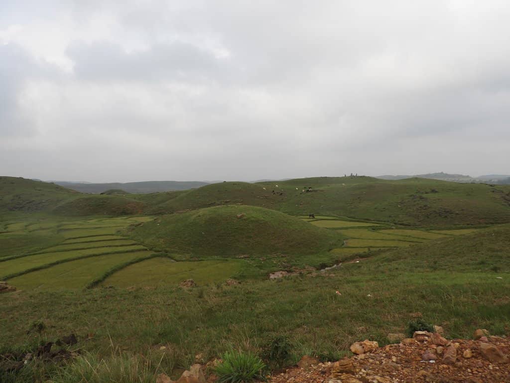 Scenic Trek Down