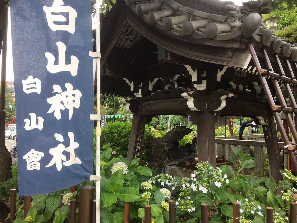 Peaceful Shrine Atmosphere