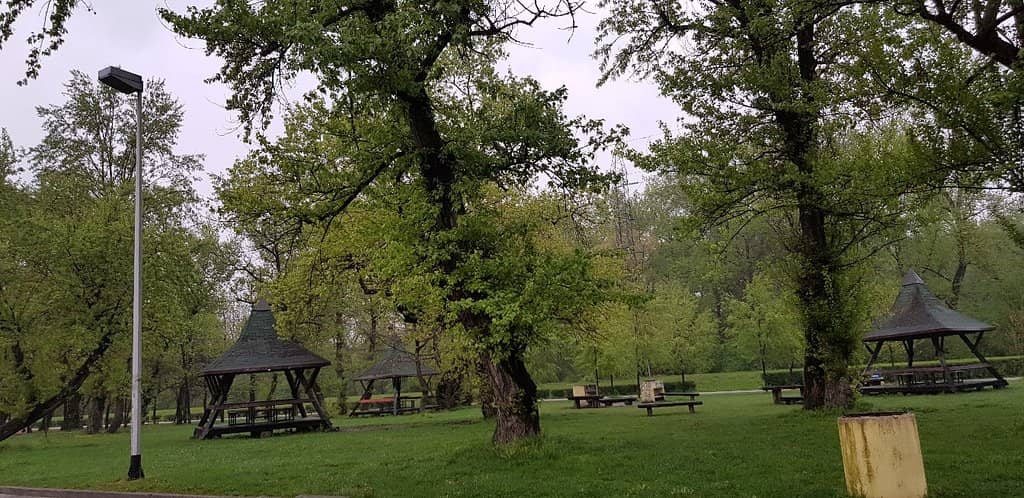 Sports & Recreation Hub