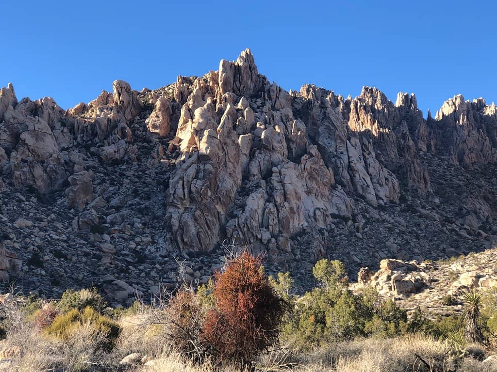 Vertical photo