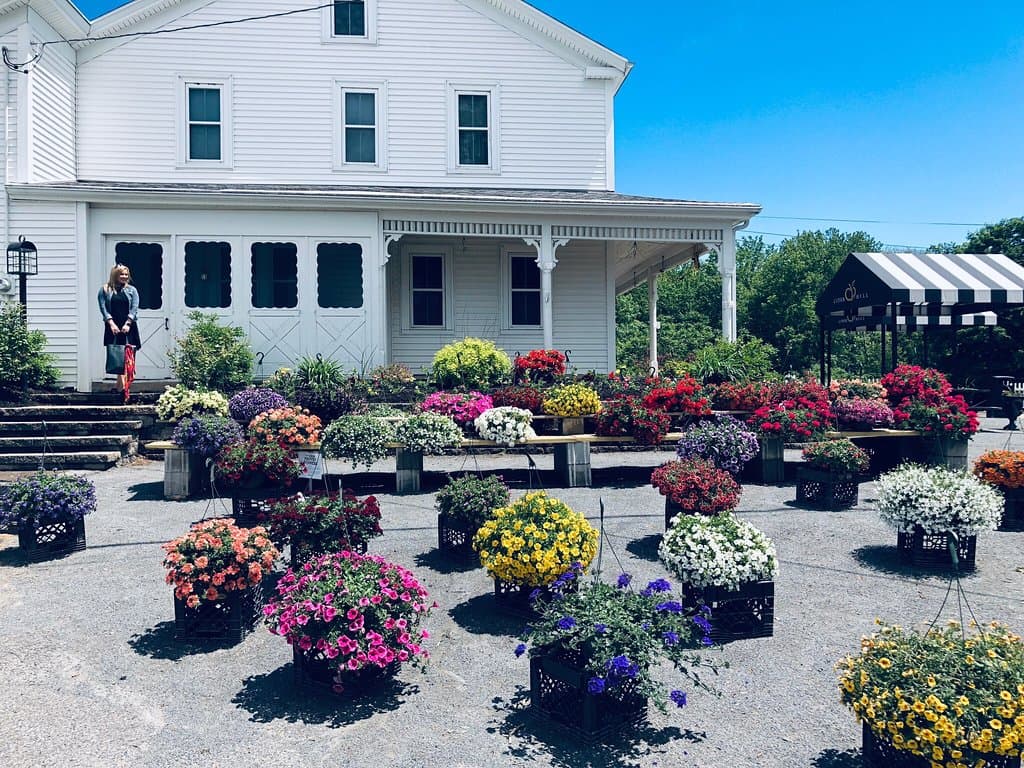 Burrow Hill Cider Farm