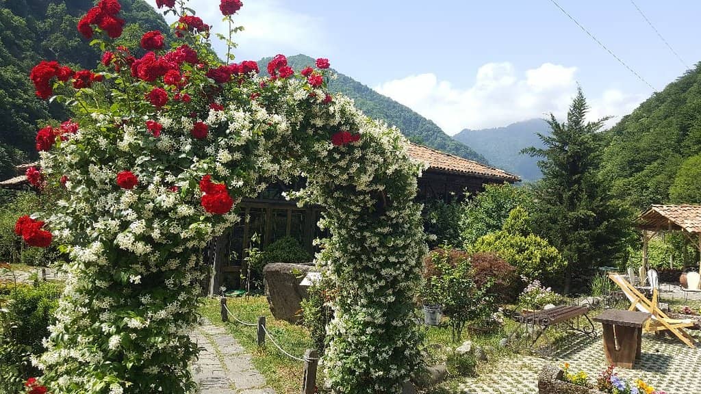 Historic Winery Tour