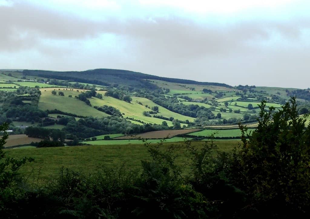 Panoramic Golden Valley Views
