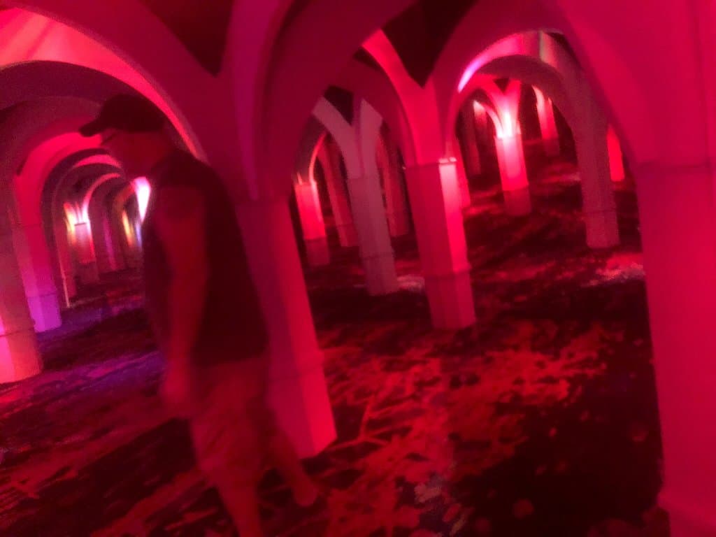 Museum of the Bizarre