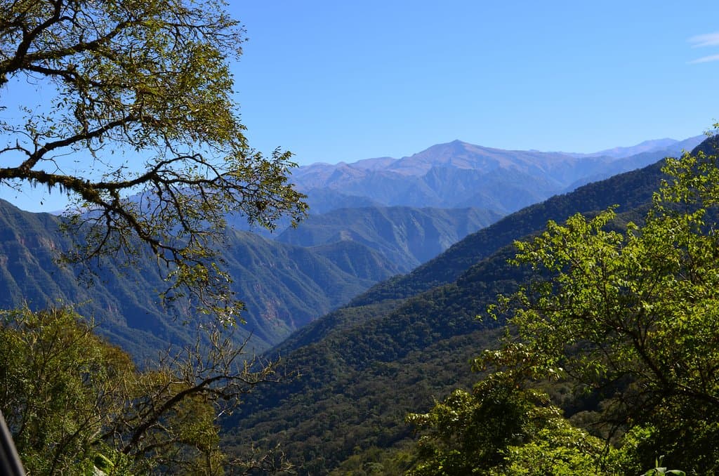 Parque Nacional Calilegua