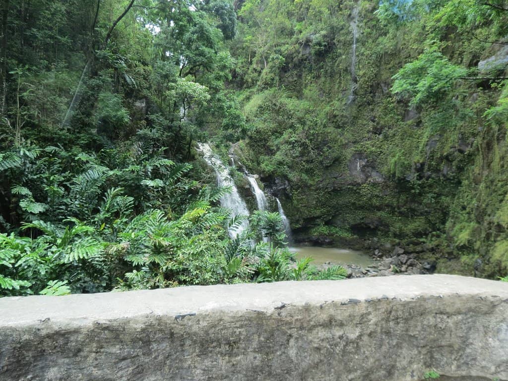 Vertical photo