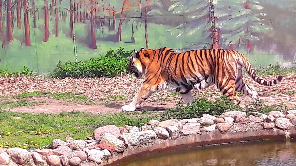 Zamość Zoo
