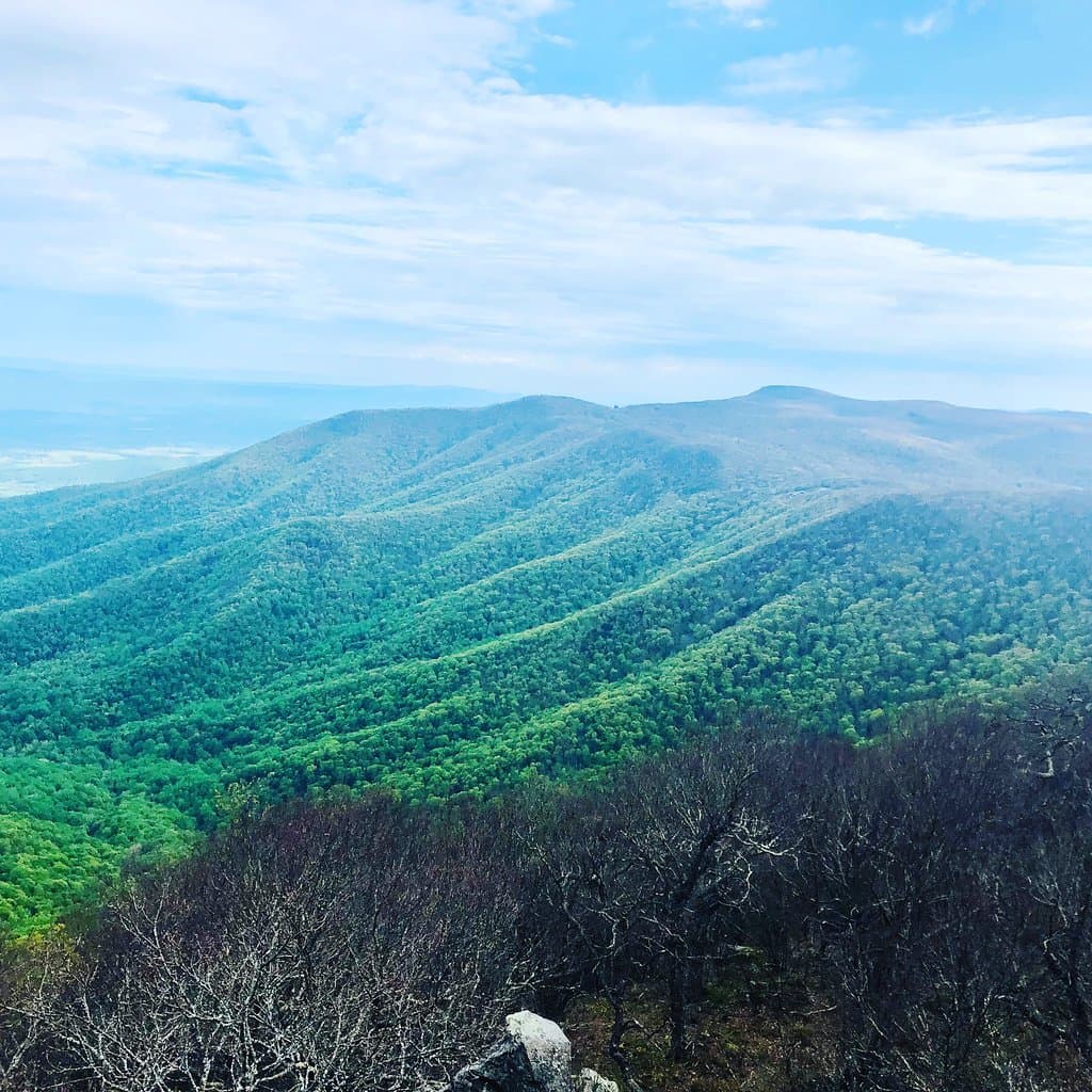 Beautiful spring views