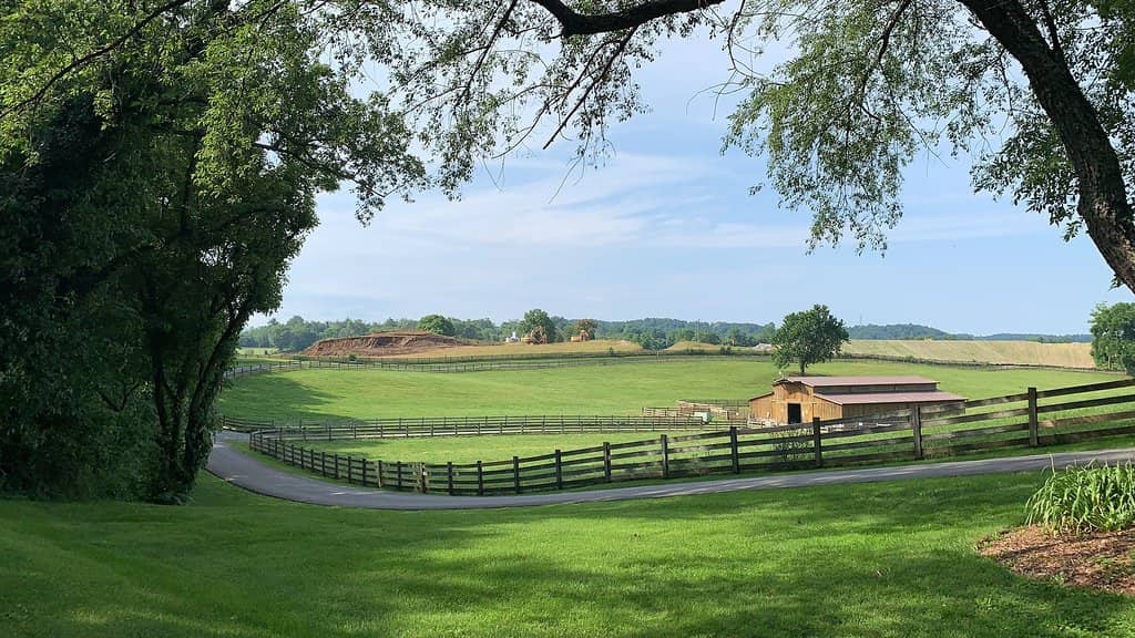 Highlights