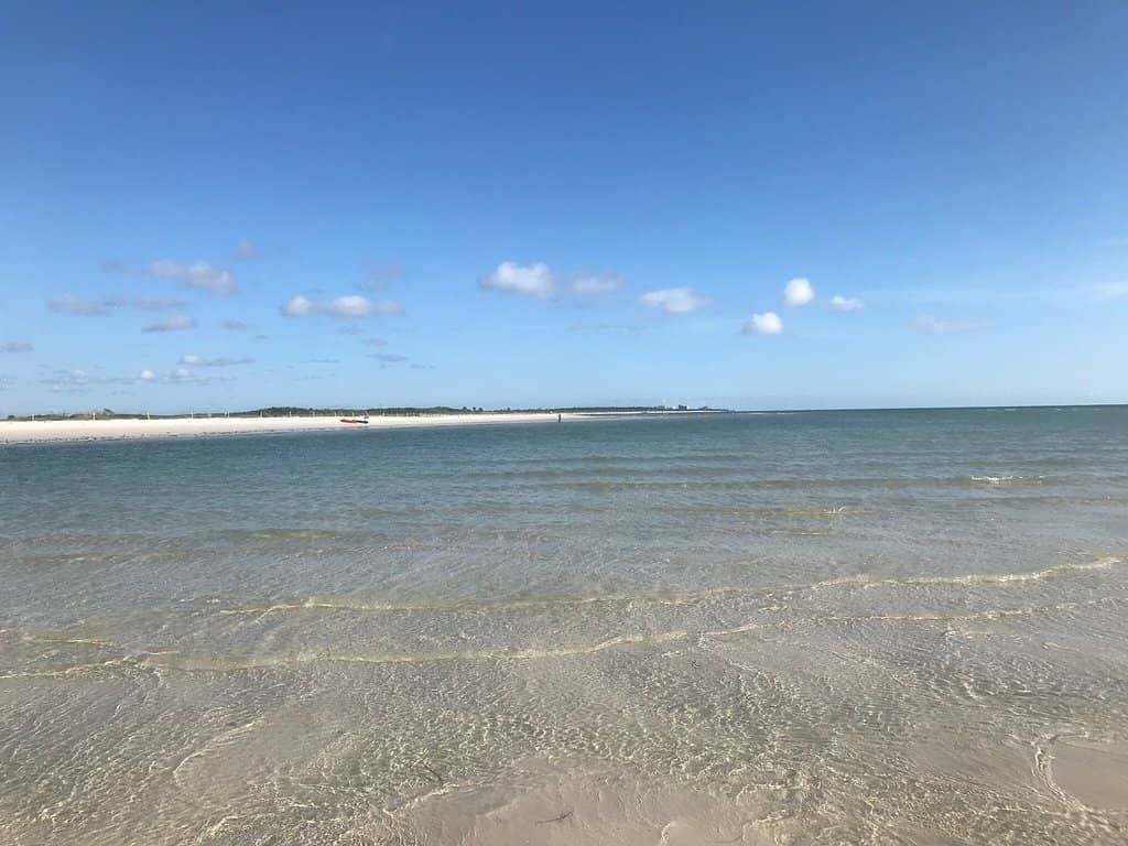 Abundant Shelling Opportunities