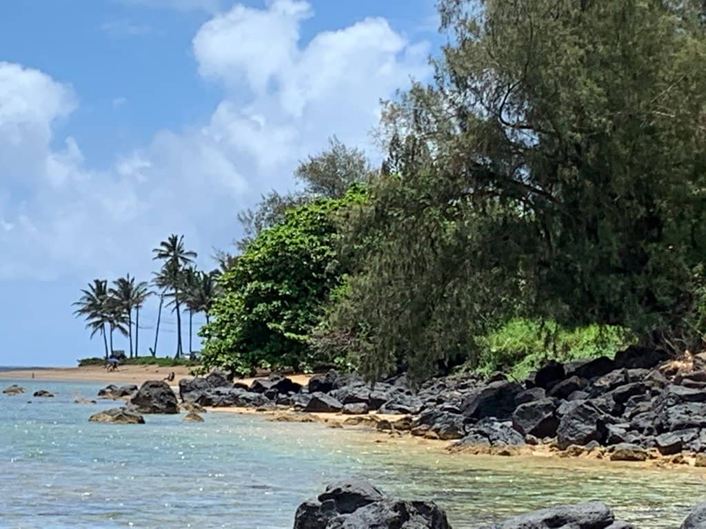Secluded 'Secret Beach' Vibe