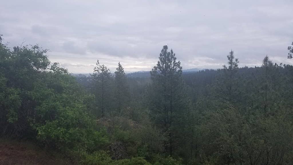 Panoramic Ocean Views