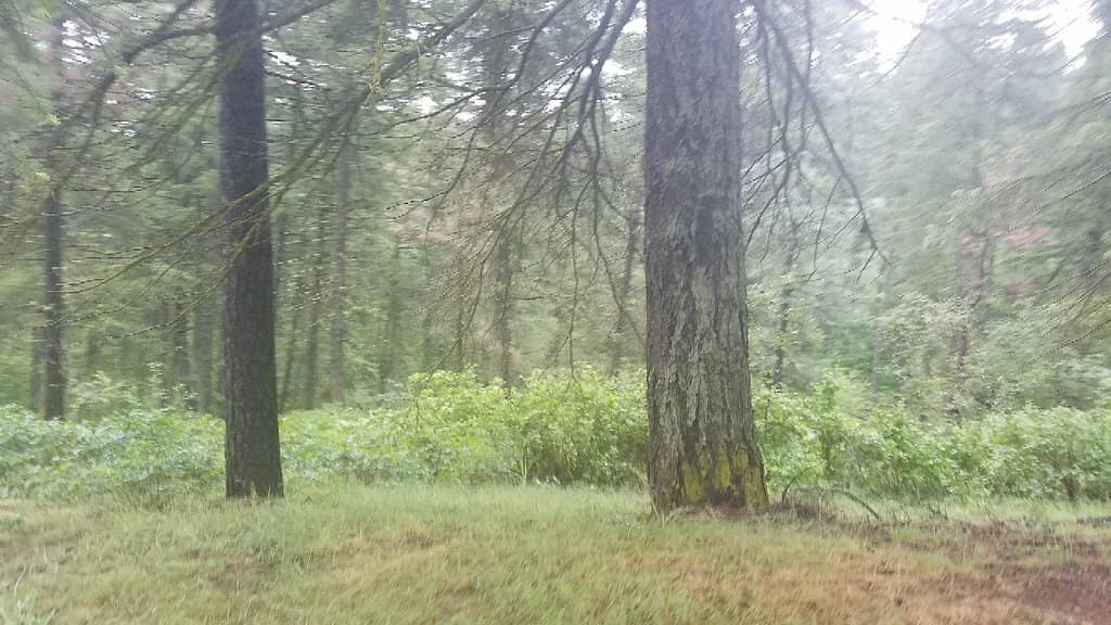 Sculpture Garden & Art Installations