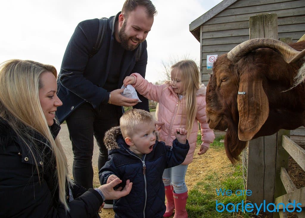 There is so much to do at Barleylands Farm Park all year round!
