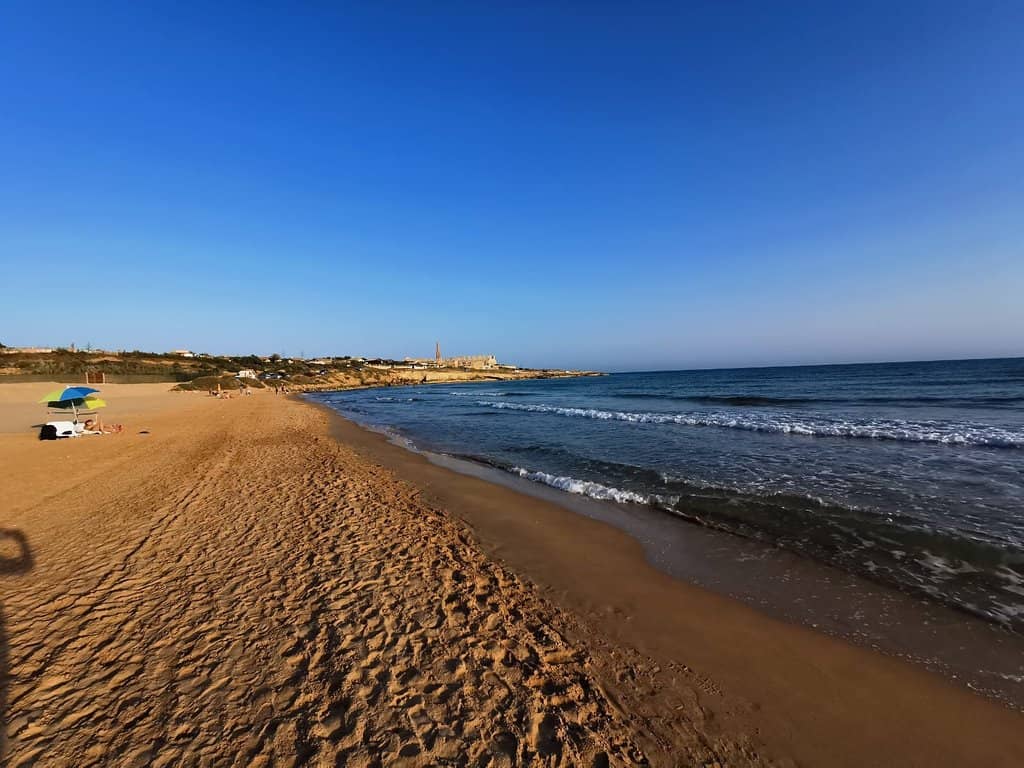 Crescent-Shaped Sandy Shore