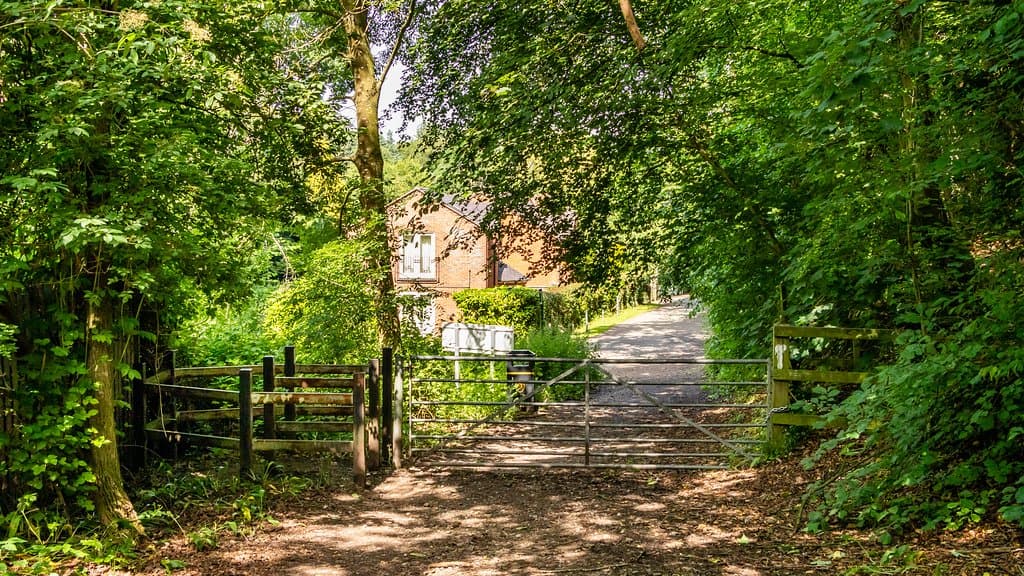 End of the woodland walk at Springfield Lane