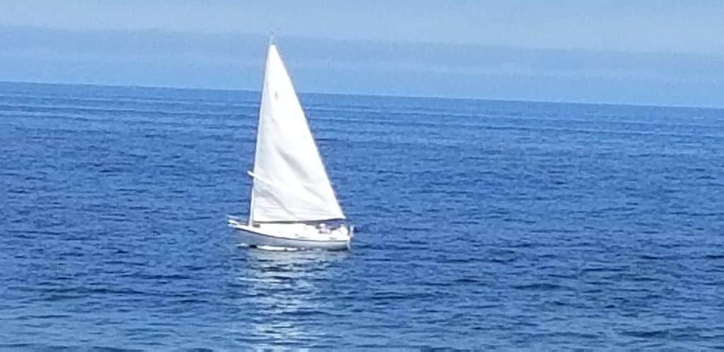 The Scenic Cliff Walk