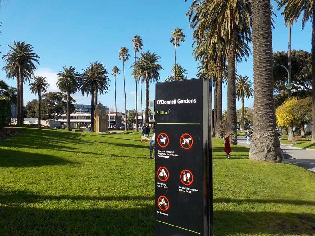Luna Park Adjacent