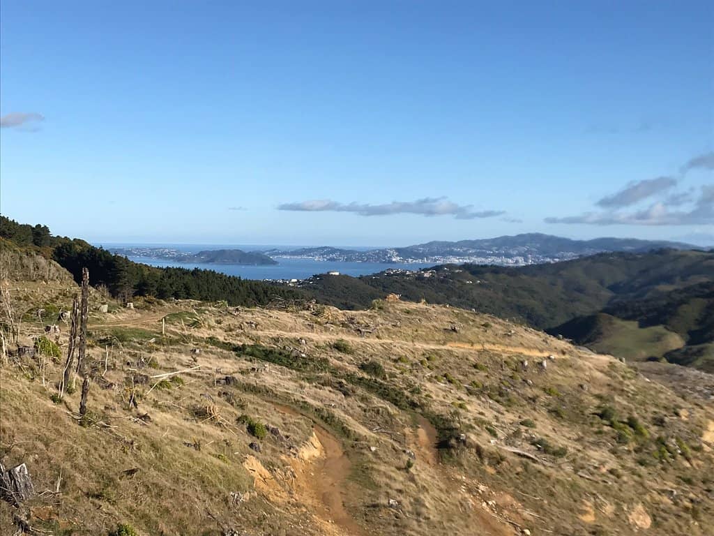 Dry Creek Waterfall Walk