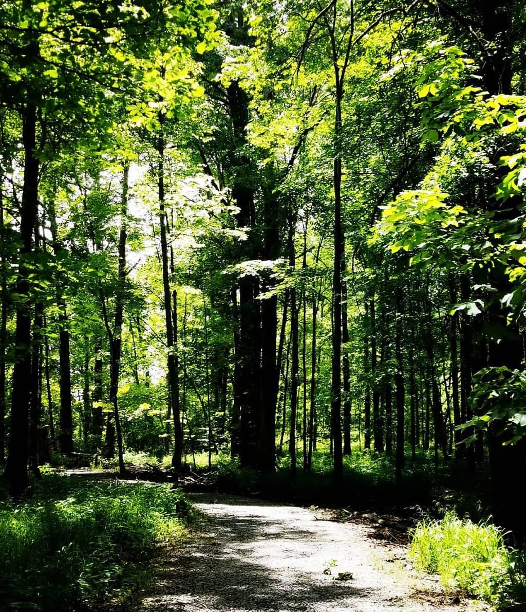 Lakeside Trails