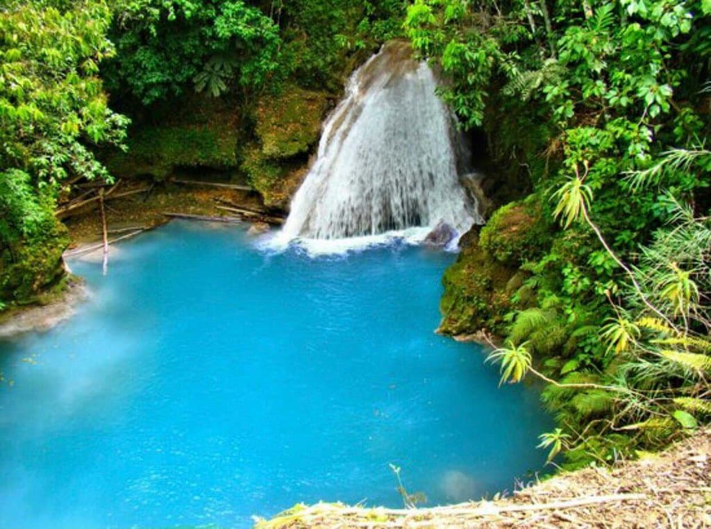 Wonderful day with guests @blue hole Ocho Rios