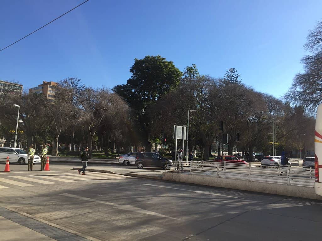 Festival de Viña del Mar Buzz