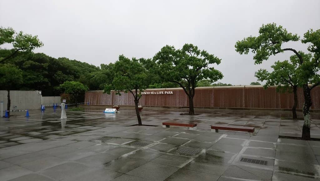 Interactive Touch Tank